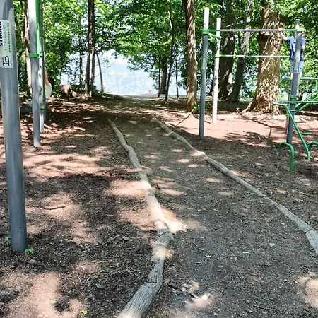 Forest *